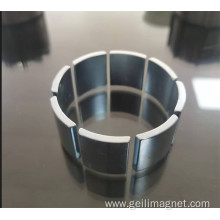 Neodymium Magnetic Arc Magnet for Motor